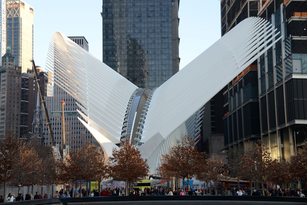 10A The Oculus Is Above The World Trade Center Transportation Hub Late Afternoon